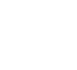 金龍寺（キンリュウジ）